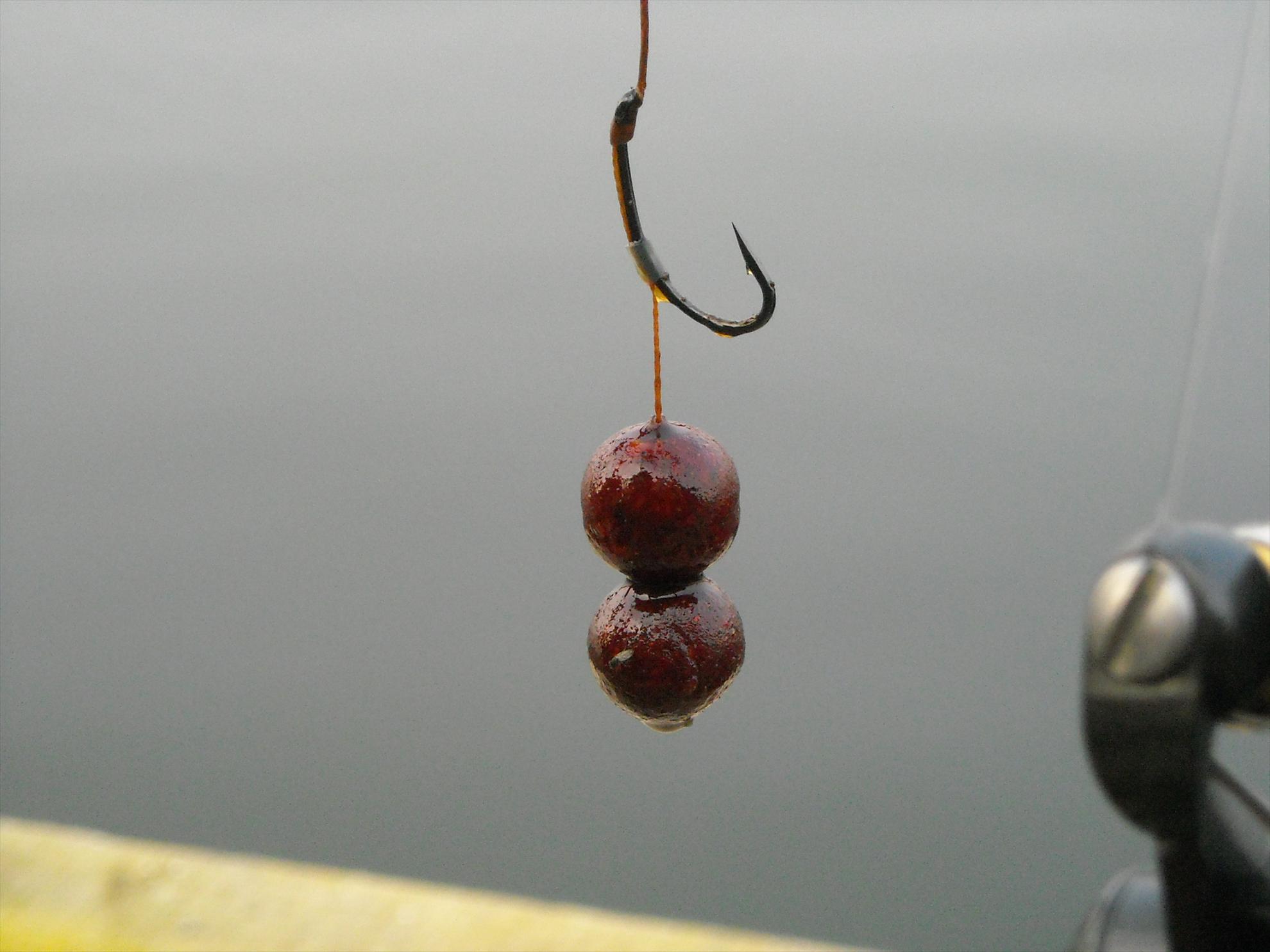 Open Tancabesti - 2010 - dscn7292.jpg